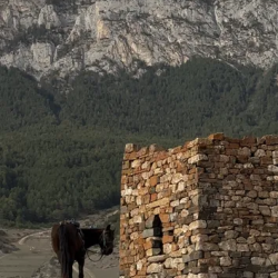 Фото Отель Chilli bros camp (Чили брос кемп)