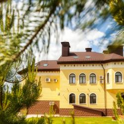 Фото Отель Гостевой дом Сосновый Бор