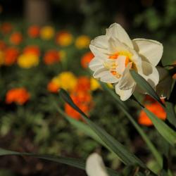 Фото Боулинг-отель Новые горки