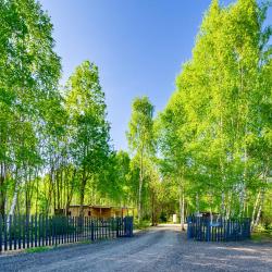 Фото Отель След Лося