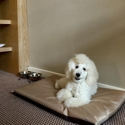 Cosmos Ekaterinburg Hotel (Космос Екатеринбург) (бывш. Park Inn by Radisson Ekaterinburg) — 7b2a1f47a4151d3289e8ad715871dea6