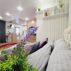 Фото Симбирские апартаменты на улице Гончарова