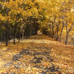 Фото Отель Креатово