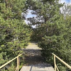 Фото Отель Кускас