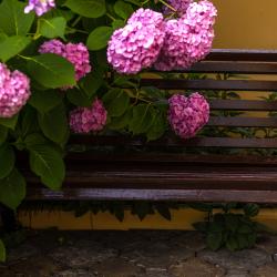 Фото Отель Орион