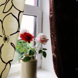 Фото Отель Золотой Гусь