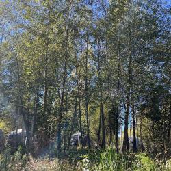 Фото Отель Озеро Ле