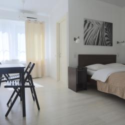 2-местный номер стандарт с 1 двуспальной кроватью