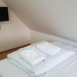 Фото Отель Брусника