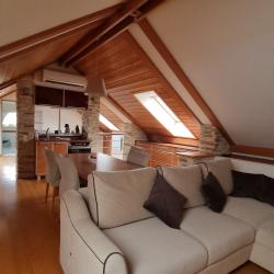 Апартаменты люкс (мансарда)