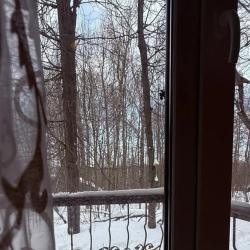 Русский лес — 7b7aa8ee391395c920e7e485c276ed08