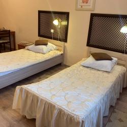 Фото Отель Шелонь