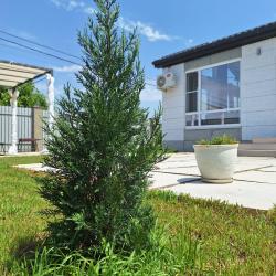 Фото Отель Коттедж Скандинавия Анапа