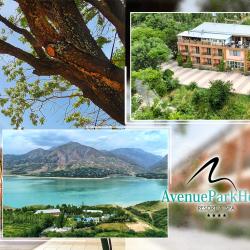 Фото Отель Avenue Park Hotel (Авеню Парк)