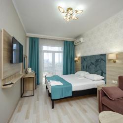 Номер делюкс с 1 двуспальной кроватью (вид на бассейн)