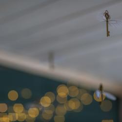 Коттедж стандарт Слизерин