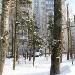 Фото Отель Apartment Elena (Апартмент Елена)