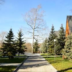 Фото Парк-отель АТМОС