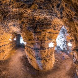 Фото Отель Deer Farm (Дир фарм)