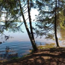 Фото Отель Фиолетовое лето