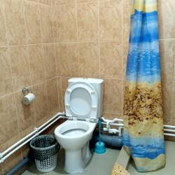 Фото Отель Сова