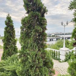 Фото Отель Rental Family Rooms (Рентал Фэмили) на Детском переулке