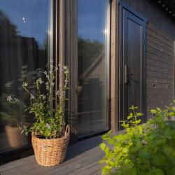 Фото Отель Мятный сад