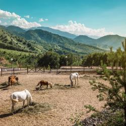 Фото Отель Ой-Карагай Лесная Сказка (Oi-Qaragai)