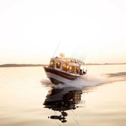 Фото Отель Коттедж Солнечный