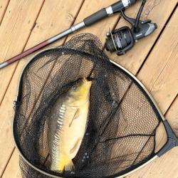 Фото Отель Родная Долина