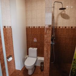 Номер улучшенный премиум с 1 двуспальной кроватью