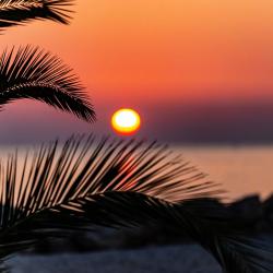 Фото Отель Дивный