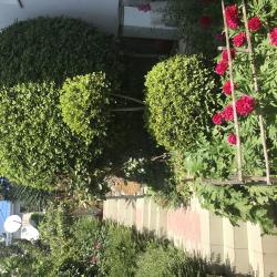 Фото Отель Анни