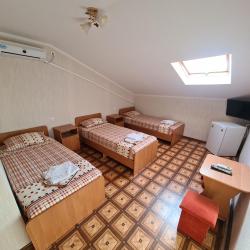 Фото Отель Милена
