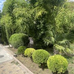 Фото Отель Оазис