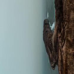 Фото Бротель Домик Патрика ТЕСТ-ОТЕЛЬ