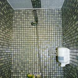 Фото Отель Елена