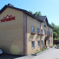 Фото Отель Теремок (Московский район)