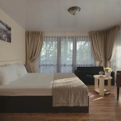 Номер делюкс с 1 двуспальной кроватью