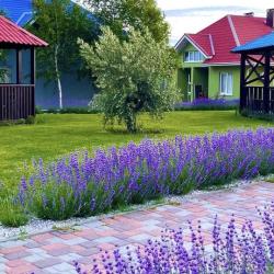 Фото Парк-отель Оленевка