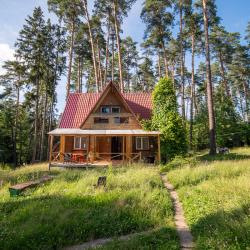 Коттедж Богатырский