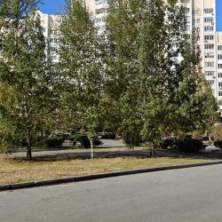 Терра48 на улице имени Генерала Меркулова — 7c7e61e6222c3d0cd2c5f9ca76b2b76f