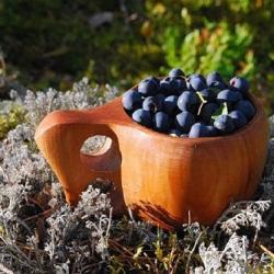 Фото Отель Берлога