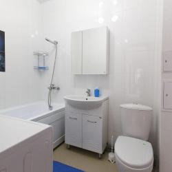 Фото Апартаменты на переулке Салтыкова-Щедрина