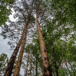 Фото Отель Место силы