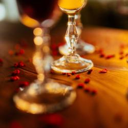 Фото Отель Терь