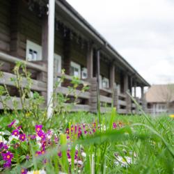 Фото Отель Арина Р.