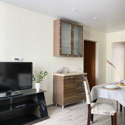 Апартаменты на улице Красноармейская 15 — 7cabcc7e9b0d77757f5f86f25f94f87b