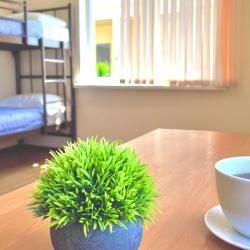 Фото Парк-отель Оленевка