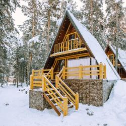 Коттедж премиум